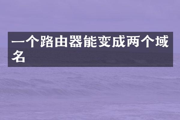 一个路由器能变成两个域名