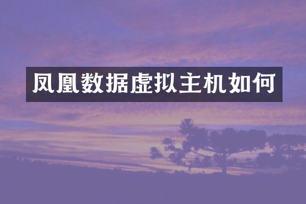 凤凰数据虚拟主机如何