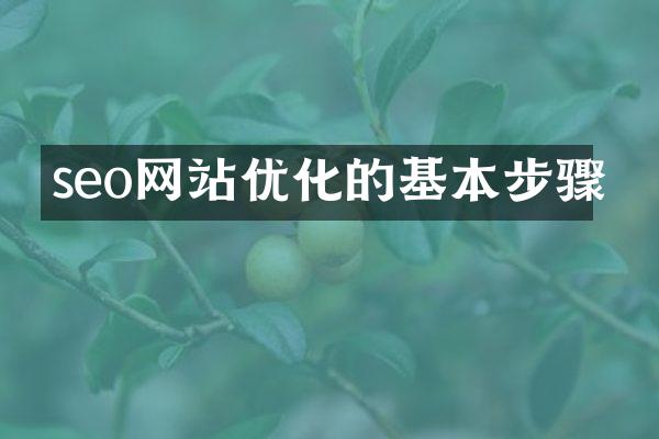 seo网站优化的基本步骤