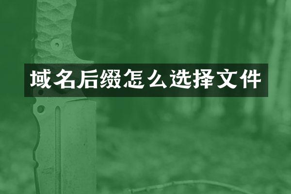 域名后缀怎么选择文件
