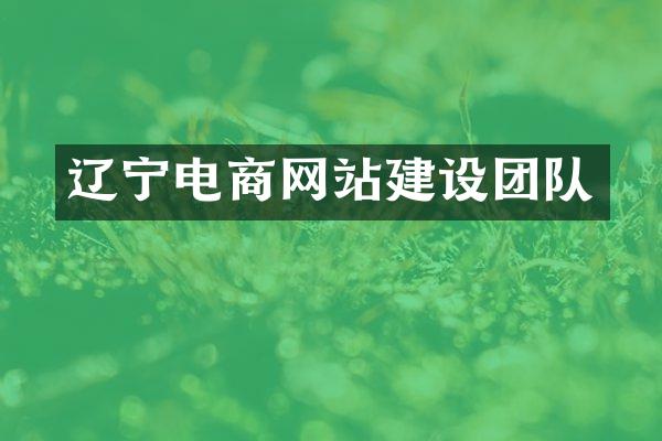 辽宁电商网站建设团队