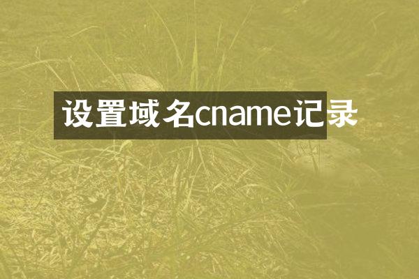 设置域名cname记录