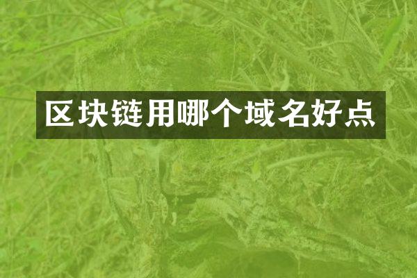 区块链用哪个域名好点