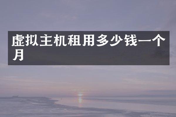 虚拟主机租用多少钱一个月