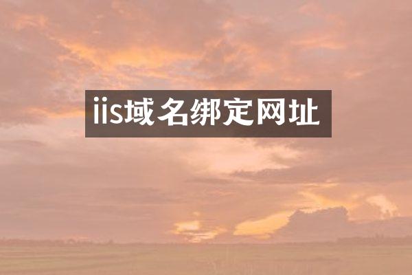 iis域名绑定网址