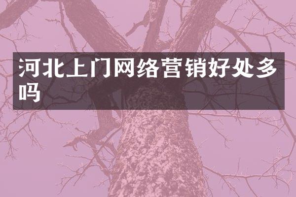 河北上门网络营销好处多吗