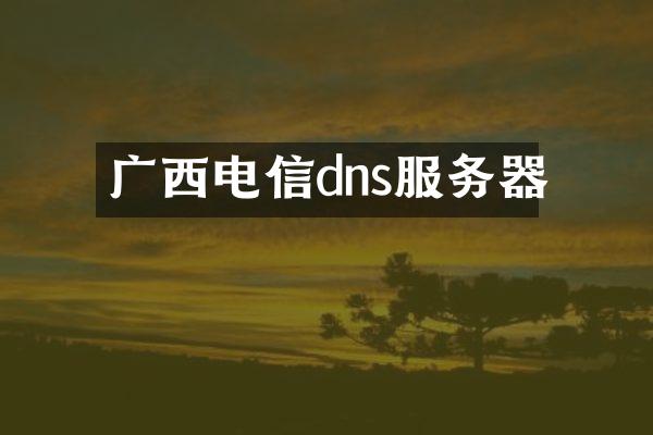 广西电信dns服务器