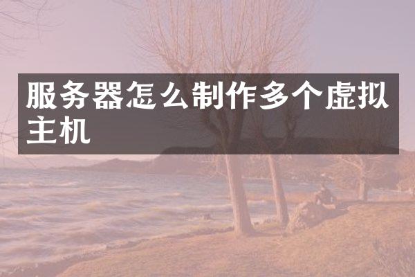 服务器怎么制作多个虚拟主机