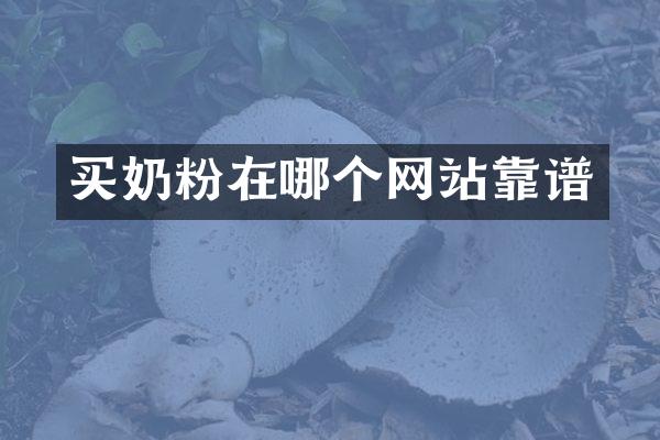 买奶粉在哪个网站靠谱