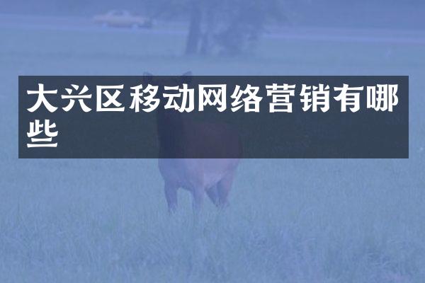 大兴区移动网络营销有哪些