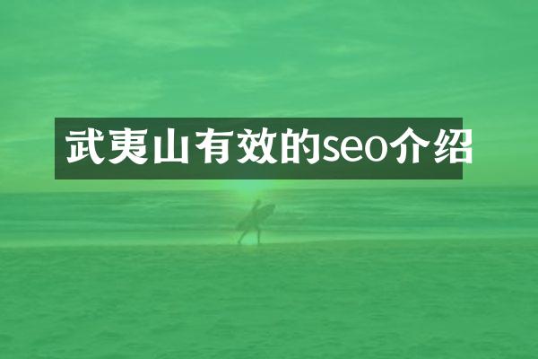 武夷山有效的seo介绍