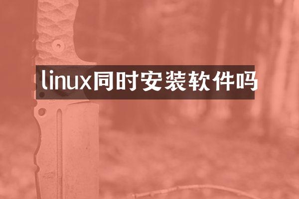 linux同时安装软件吗