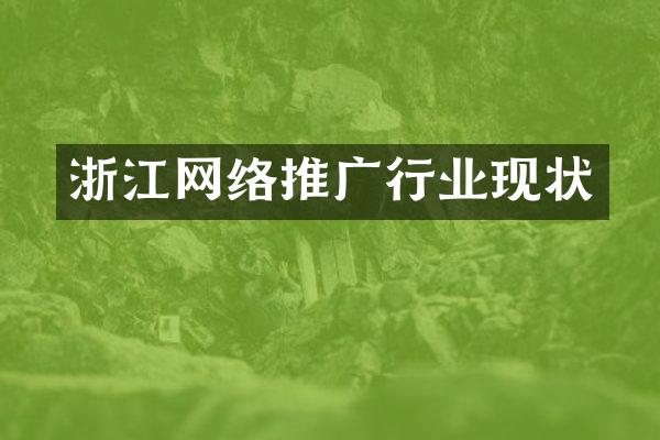 浙江网络推广行业现状