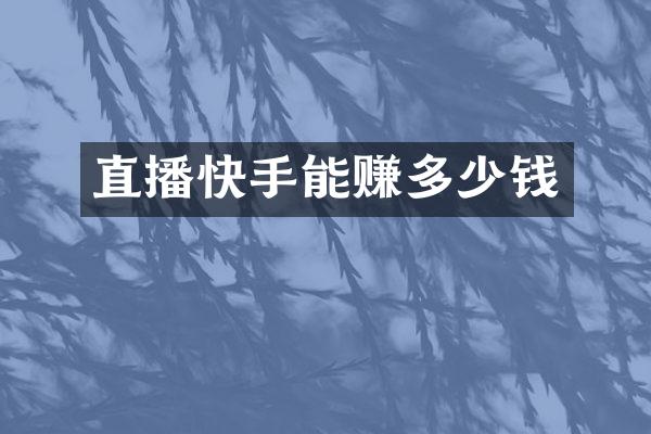 直播快手能赚多少钱