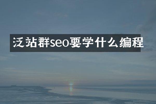 泛站群seo要学什么编程