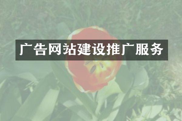 广告网站建设推广服务