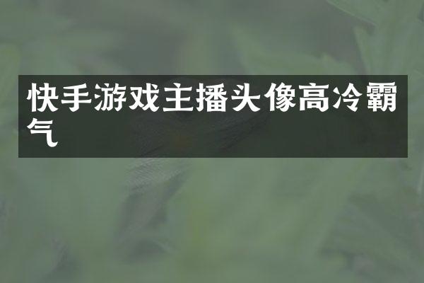 快手游戏主播头像高冷霸气