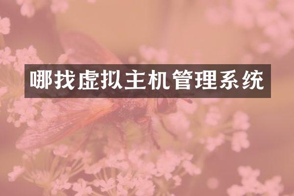 哪找虚拟主机管理系统