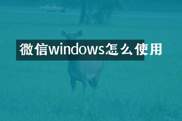微信windows怎么使用