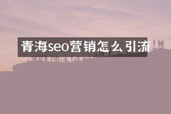 青海seo营销怎么引流