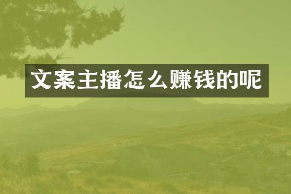 文案主播怎么赚钱的呢
