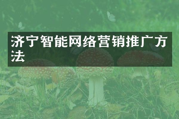 济宁智能网络营销推广方法