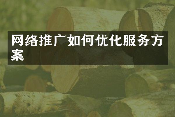 网络推广如何优化服务方案