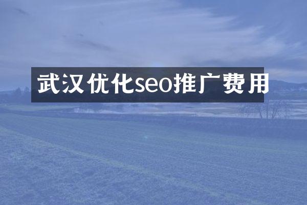 武汉优化seo推广费用