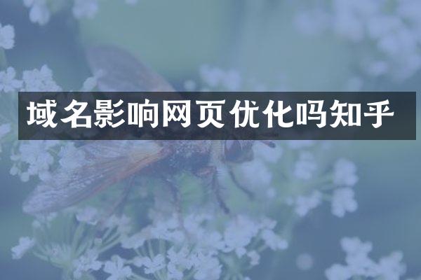 域名影响网页优化吗知乎