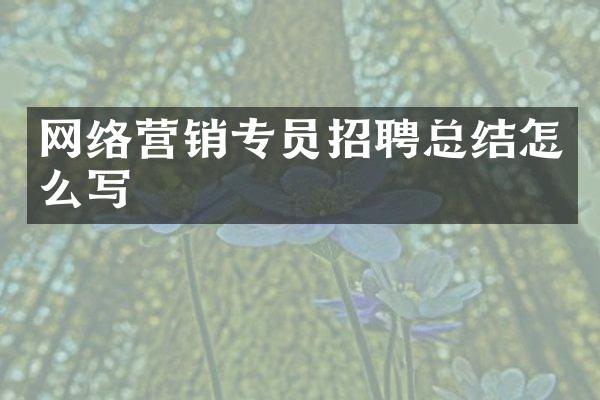 网络营销专员招聘总结怎么写