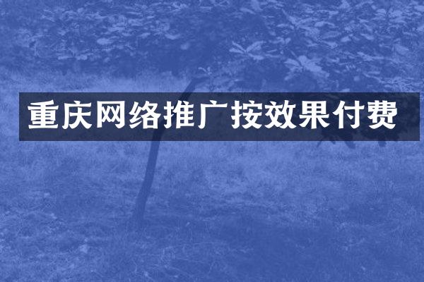 重庆网络推广按效果付费
