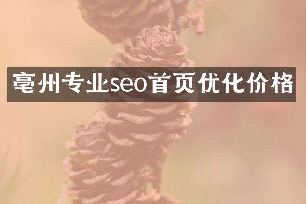 亳州专业seo首页优化价格