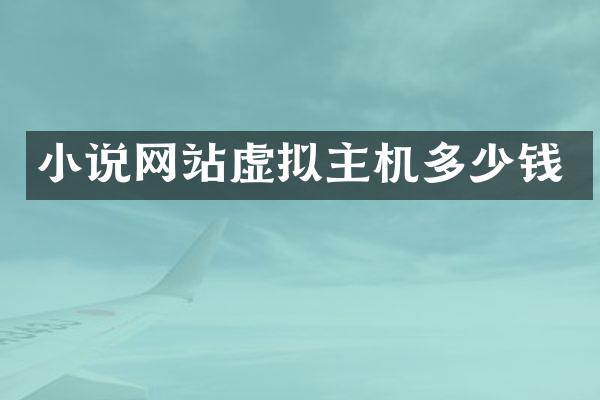 小说网站虚拟主机多少钱