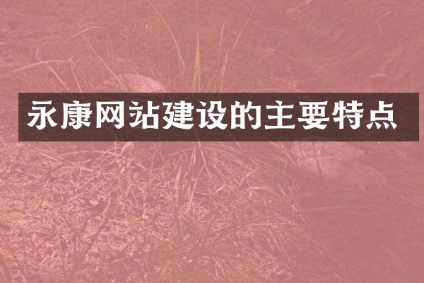 永康网站建设的主要特点