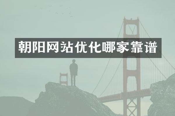 朝阳网站优化哪家靠谱