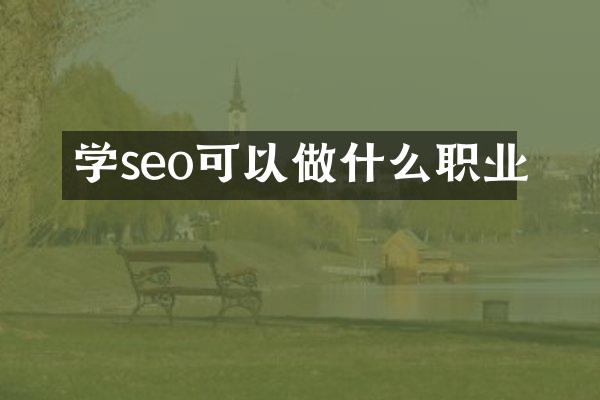 学seo可以做什么职业