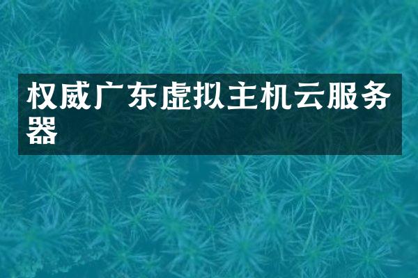 权威广东虚拟主机云服务器