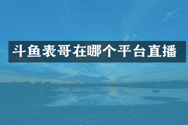斗鱼表哥在哪个平台直播