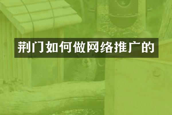 荆门如何做网络推广的