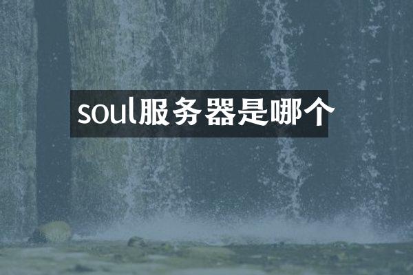 soul服务器是哪个