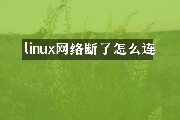 linux网络断了怎么连