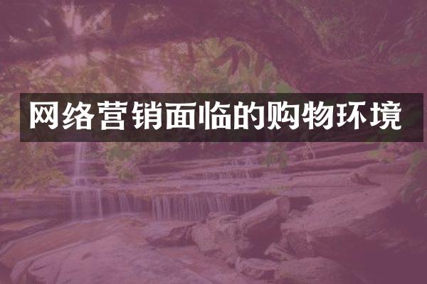 网络营销面临的购物环境