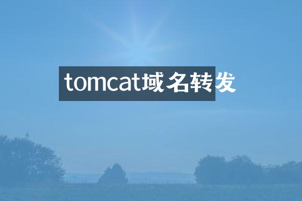 tomcat域名转发