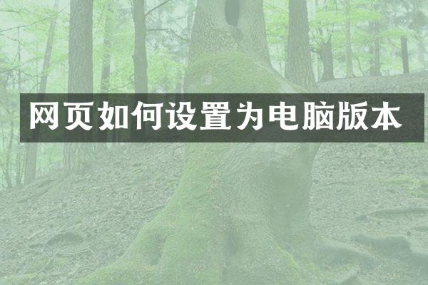 网页如何设置为电脑版本