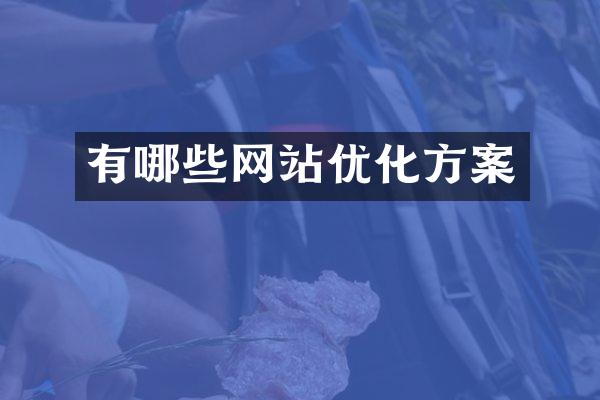 有哪些网站优化方案