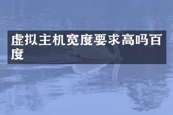 虚拟主机宽度要求高吗百度