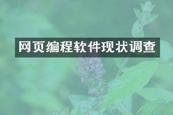网页编程软件现状调查