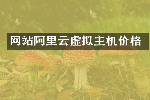 网站阿里云虚拟主机价格