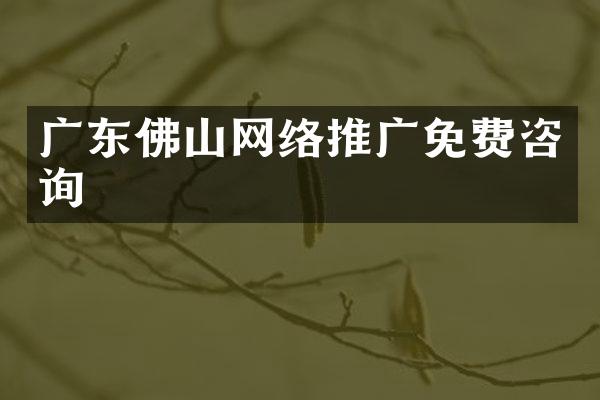广东佛山网络推广免费咨询