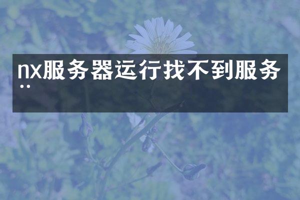 nx服务器运行找不到服务器